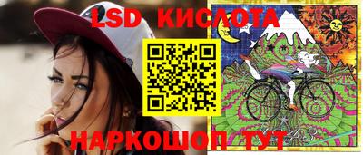 гашик Ярцево