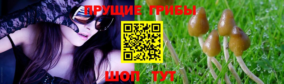 Галлюциногенные грибы ЛСД Унеча
